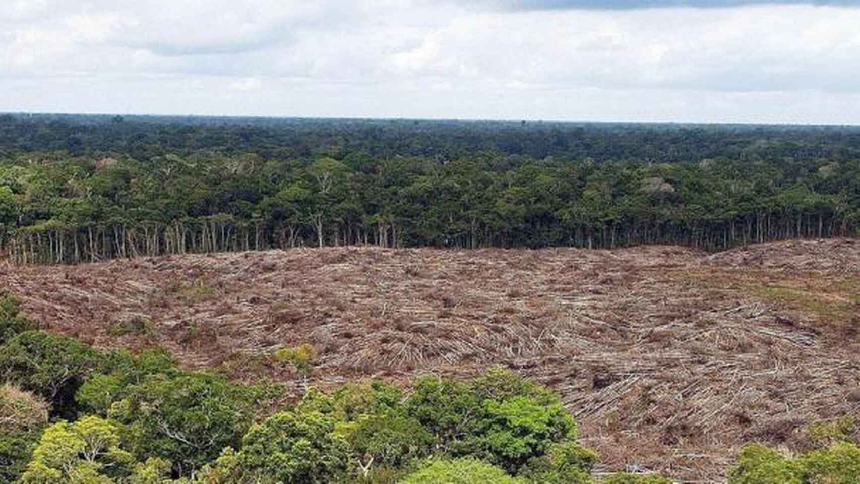 La minería amenaza a los pueblos indígenas que se encuentran aislados en la Amazonía brasileña