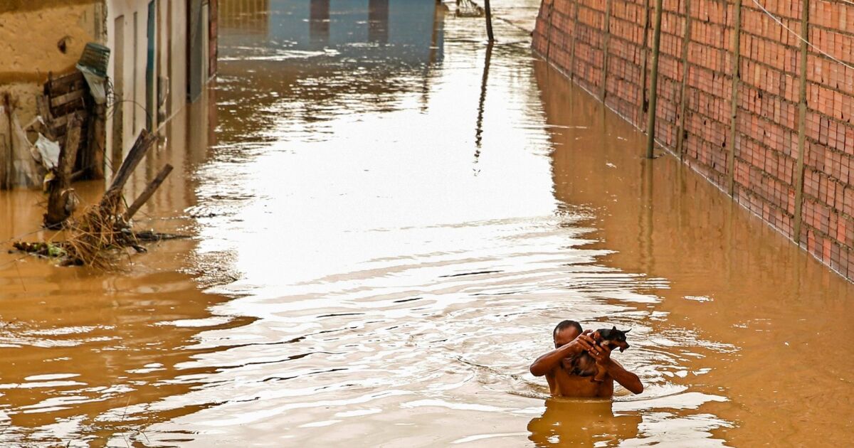 Inundaciones en Bahía: gobernador aceptará la ayuda de Argentina que rechazó Bolsonaro