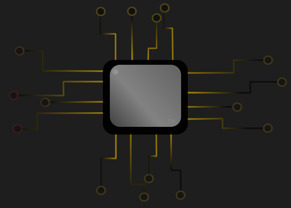 microchip-piel-pasaporte
