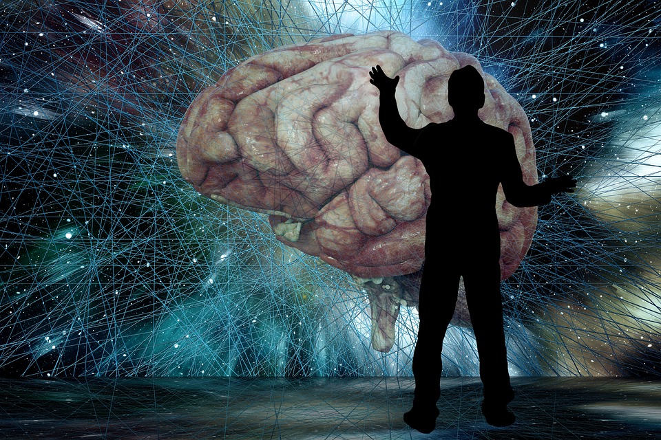 Científicos-Cerebrales