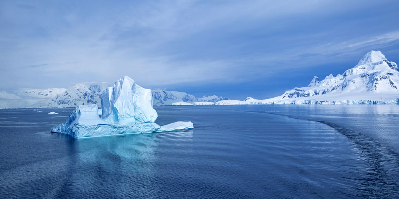 Descubren un inesperado «oasis de vida» bajo la gruesa capa de hielo de la Antártida