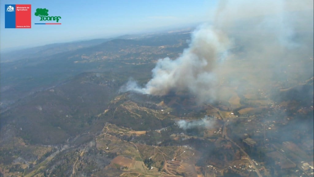 Reactivado incendio forestal en Quillón: Más de 1.600 hectáreas afectadas