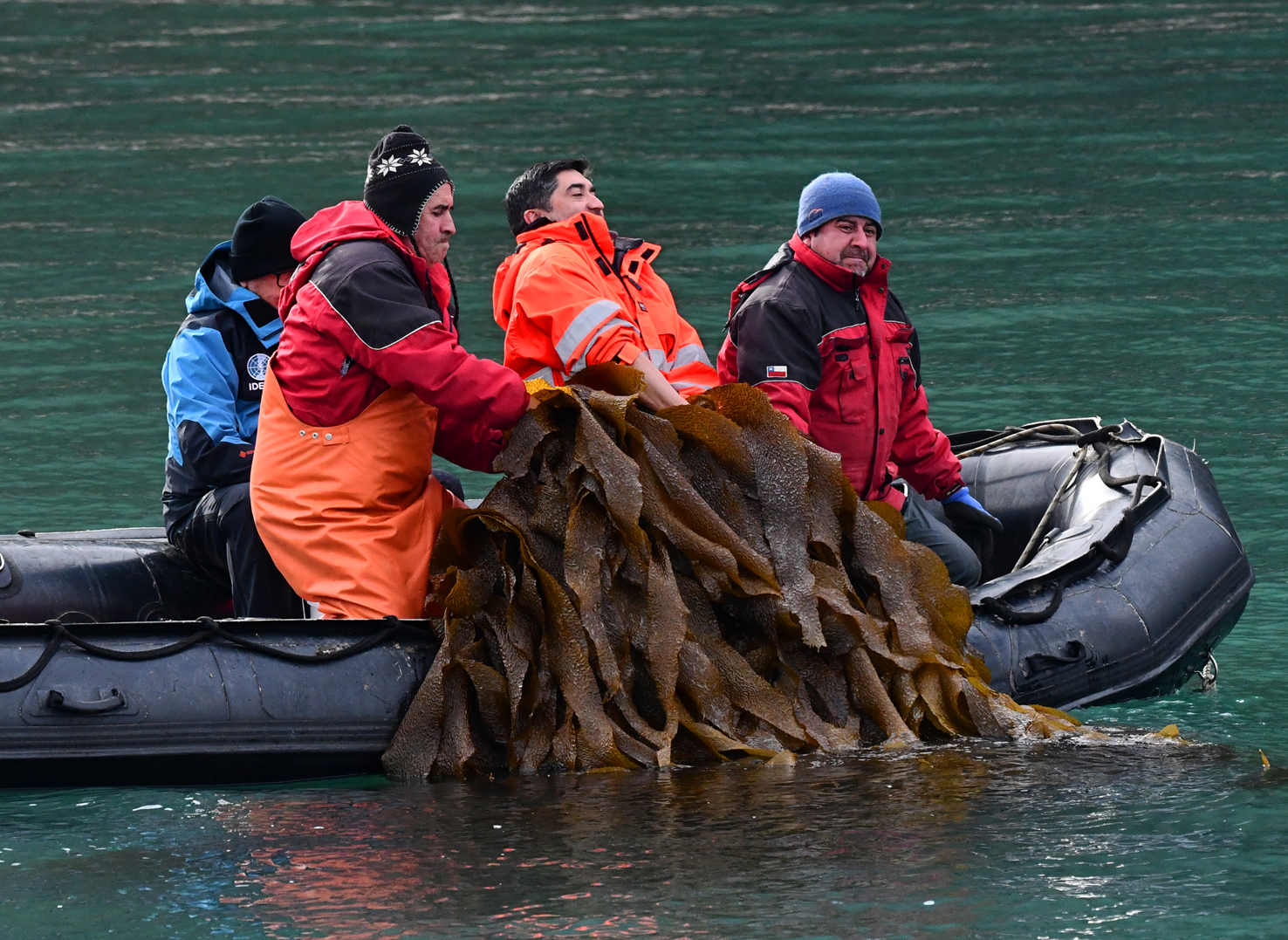 Expedición científica recopiló información vital para la conservación del Seno Almirantazgo en Tierra del Fuego