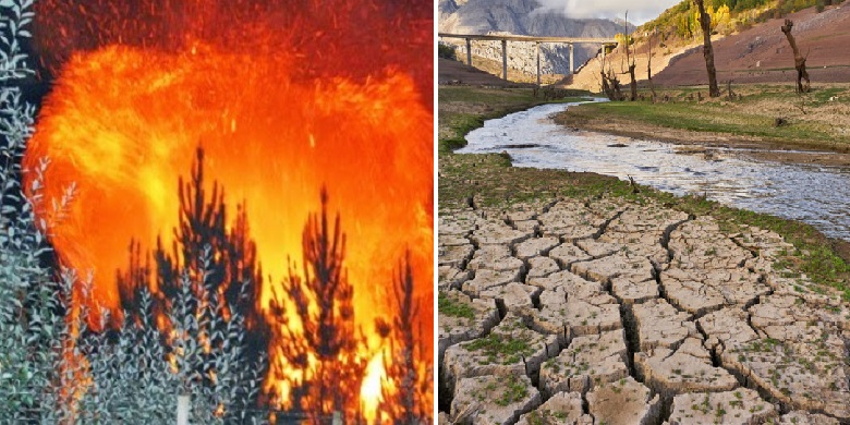 Crisis hídrica e incendios forestales: Catástrofes y emergencias en Chile
