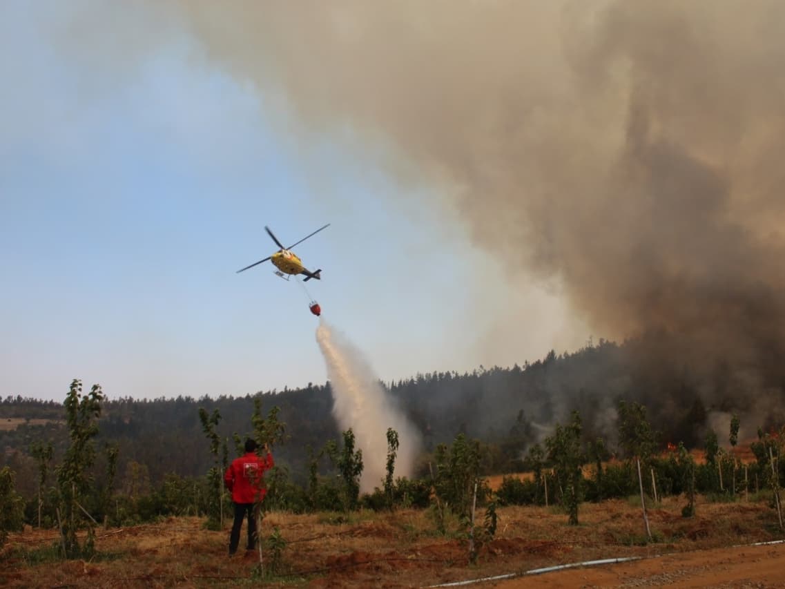 Incendios forestales en Quillón: decretan emergencia agrícola para la comuna y contabilizan 2.100 hectáreas afectadas