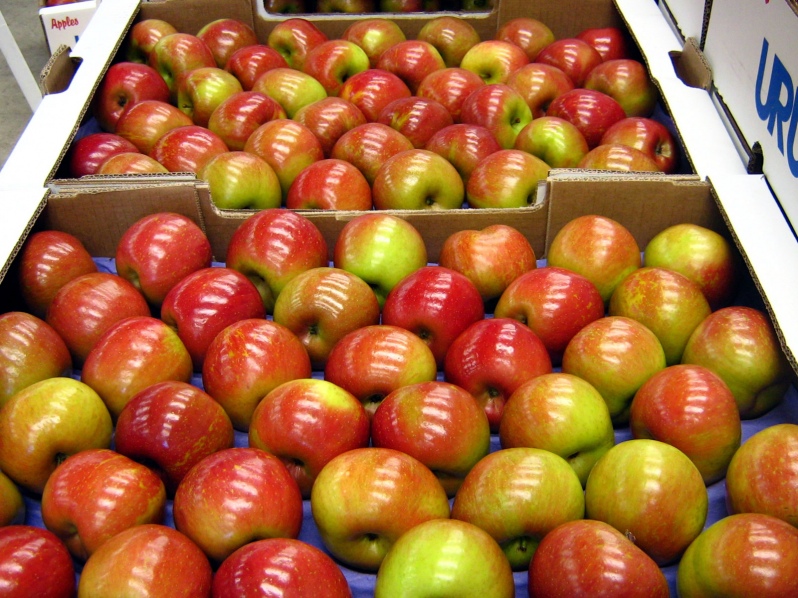 Otra fake news: Convención desmiente que se haya propuesto una norma que prohíbe la exportación de frutas