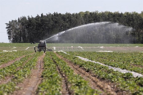 La Comisión Europea denunciará a España por no combatir correctamente la contaminación por nitratos