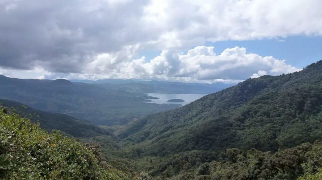 Evalúan posible reforestación de la Amazonía con aspersión aérea de semillas en Colombia