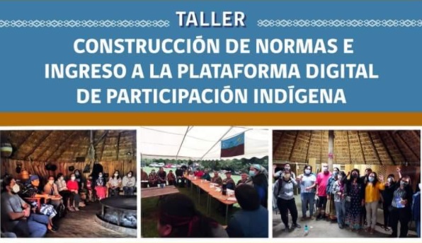Hoy se realizará nuevo taller virtual sobre construcción de normas constitucionales Pueblos Indígenas