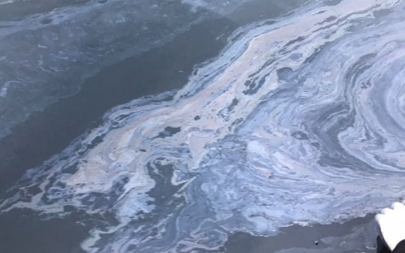 Rodrigo Mundaca y nuevo derrame de petróleo en bahía de Quintero: Es fundamental terminar con las zonas de sacrificio