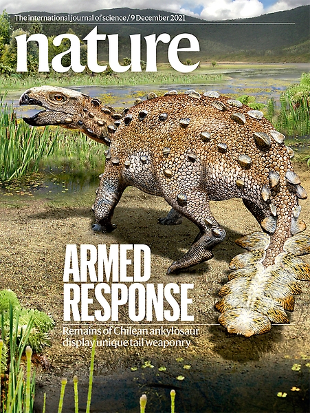 Revista Nature destaca en su portada al nuevo dinosaurio acorazado descubierto en la Patagonia por investigadores chilenos