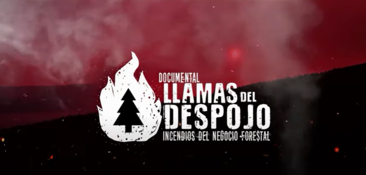 Se viene el documental “Llamas del despojo: incendios del negocio forestal”