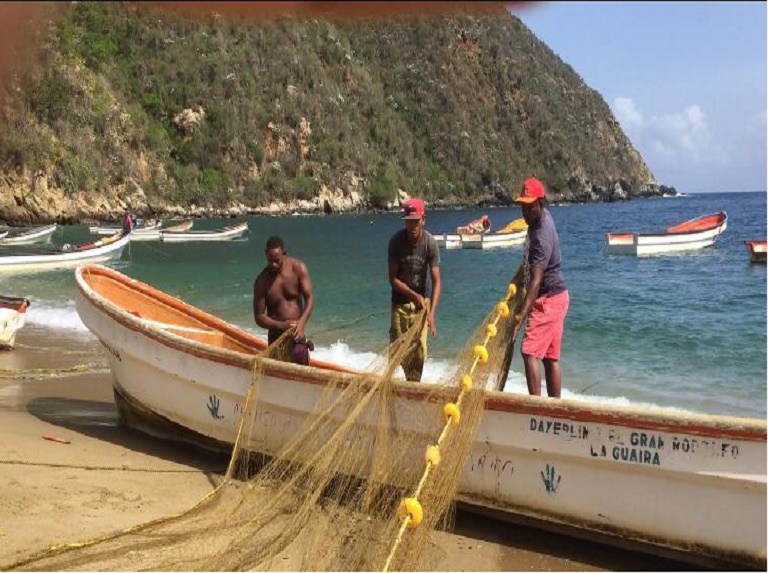 Más de mil consejos de pescadores ha organizado Insopesca