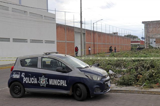 Registra SNSP 33 feminicidios; Observatorio Ibero reporta 52