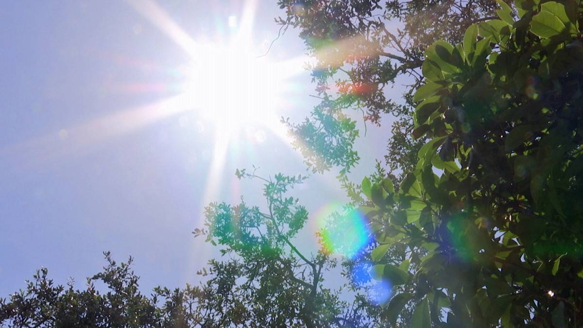 Alerta agrometeorológica por altas temperaturas entre Coquimbo y el Biobío para los próximos dos días