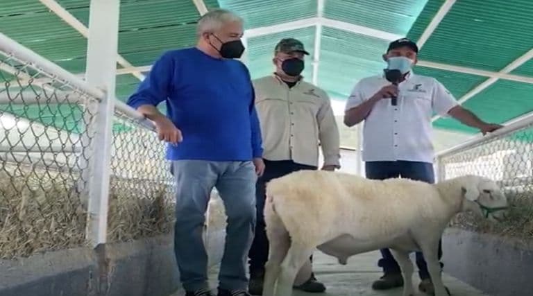 Complejo Valle de Quibor genera encadenamiento productivo con pequeñas empresas