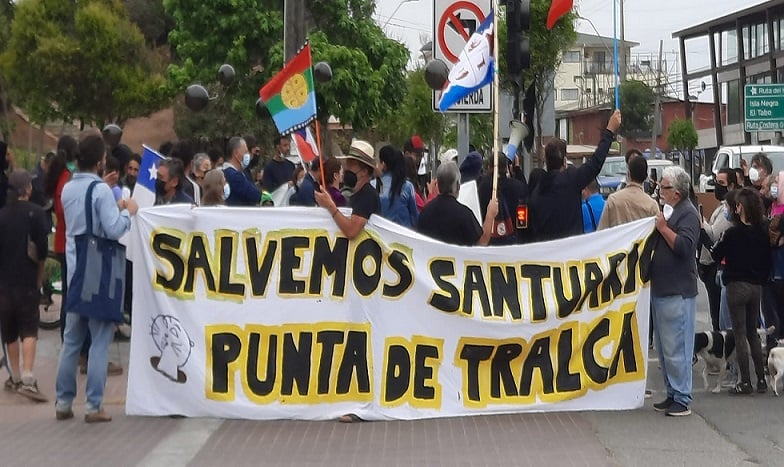 La defensa de Punta Tralca ante la amenaza de proyecto inmobiliario en zona de alto valor biocultural