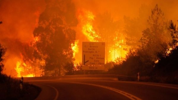 Los incendios forestales globales marcan el récord de carbonoemisiones