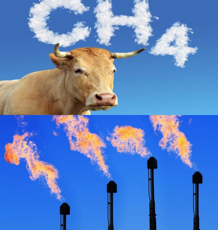 Global Methane Hub: Proyecto internacional que apunta a reducir las emisiones de metano será albergado por PUCV