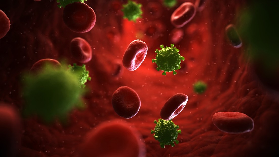 Investigadores avanzan un paso más hacia la comprensión del fenómeno de inmunidad al VIH