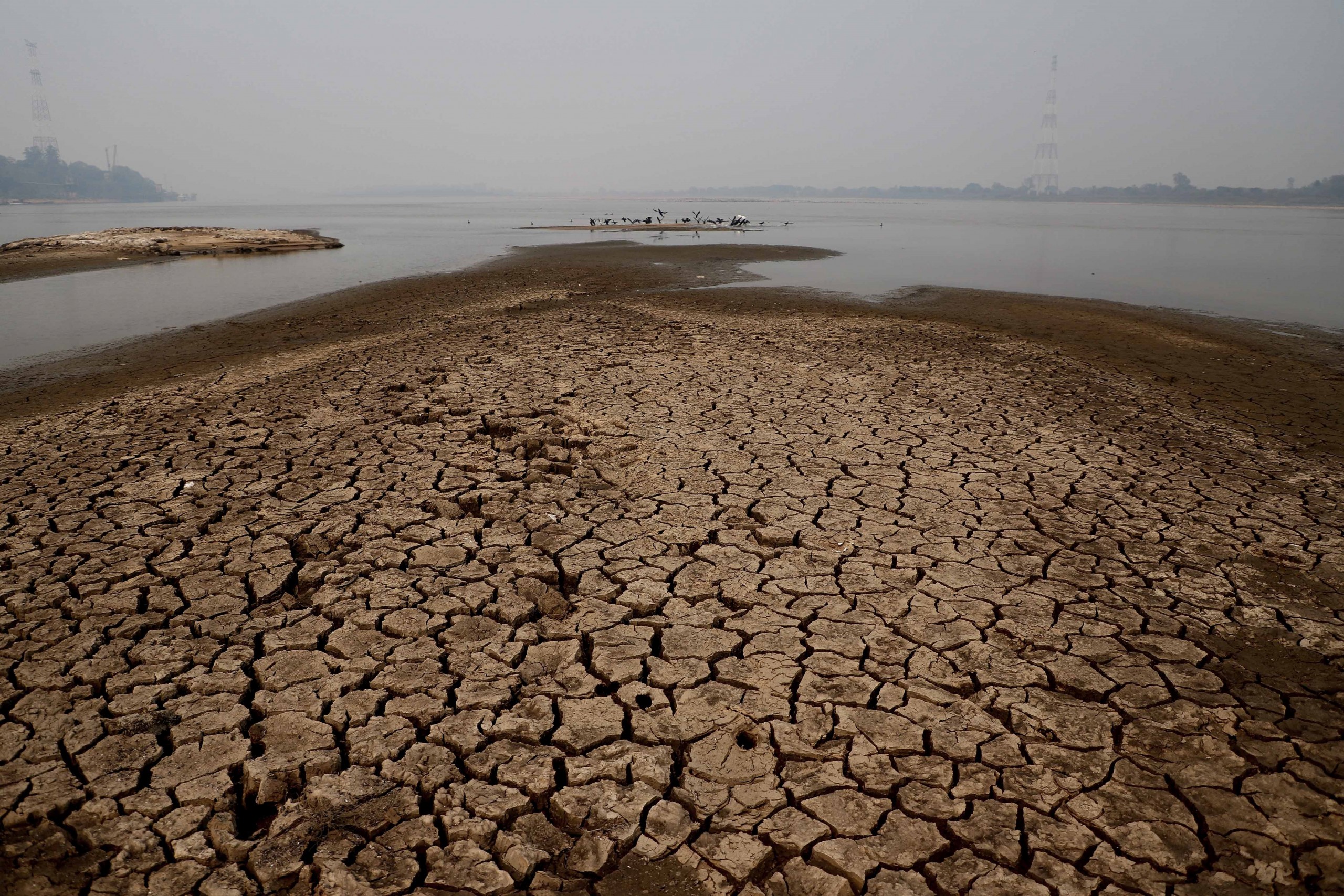 Sector ganadero paraguayo se declara en alerta por impacto de la sequía