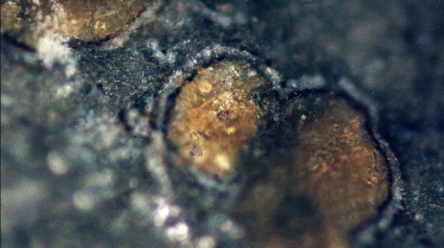 El origen de las moléculas orgánicas halladas en un meteorito marciano es sorprendente