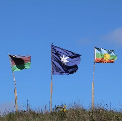 Universidad de Los Lagos publica informe sobre comunidades Huilliche de Chiloé y se desmarca de tratativas para proyecto de ley que busca reconocer a un pueblo distinto