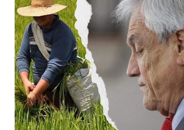 Los derechos internacionales campesinos que el gobierno de Piñera se negó a cumplir