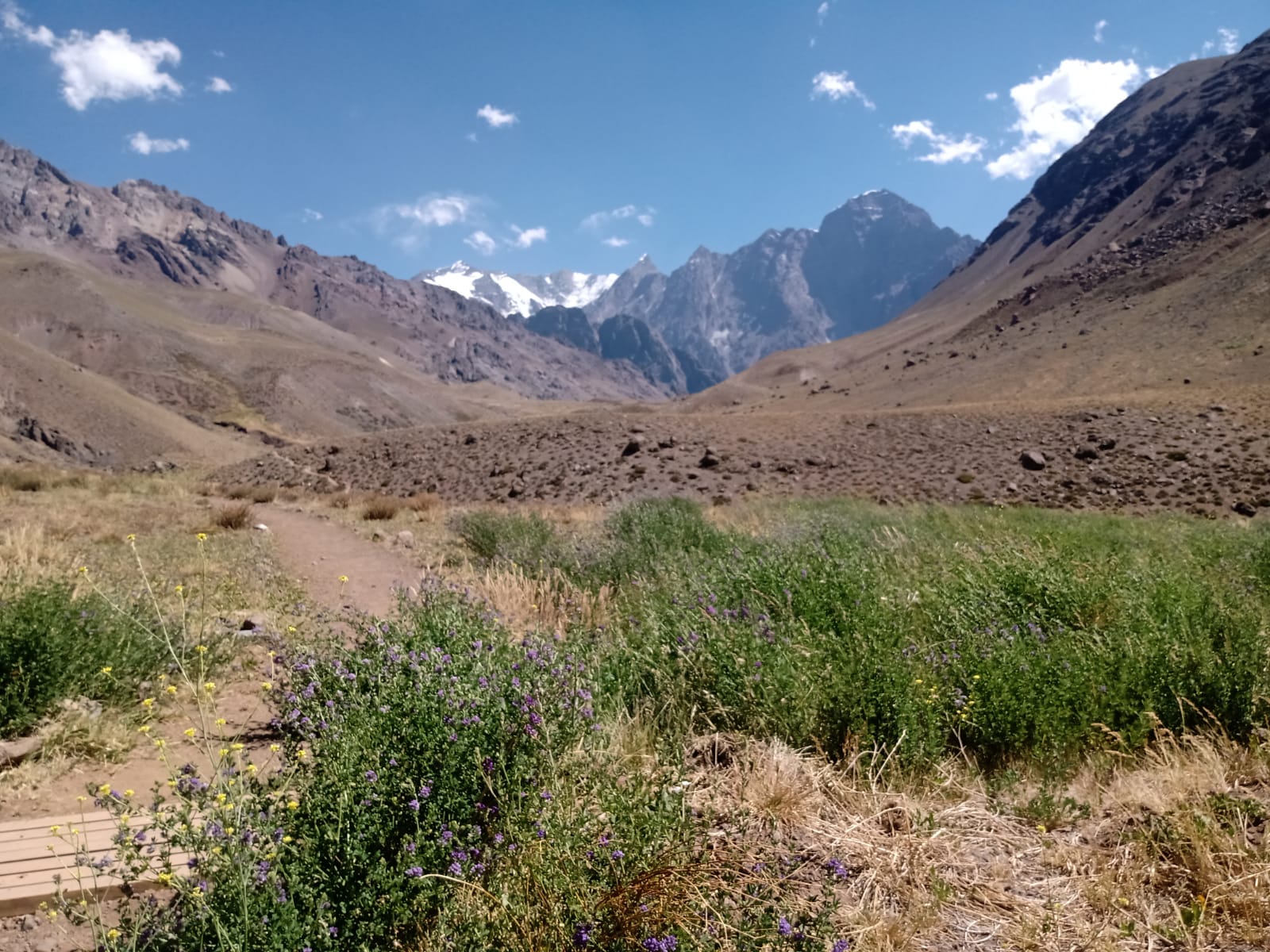 Alcaldes y Gobierno Regional de Valparaíso constituyen Comisión Alto Aconcagua para proteger ecosistemas de la zona