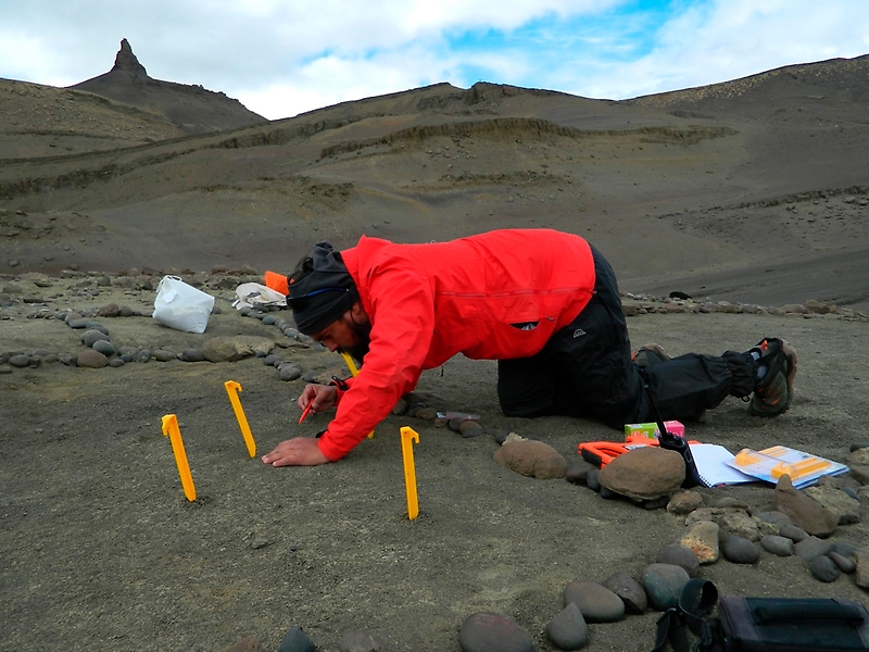 Descubren fósiles de ranas que habitaron la Patagonia chilena en la era de los dinosaurios