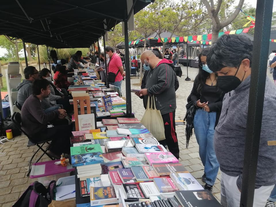 “Diversidad cultural y promoción de los derechos culturales”: La iniciativa popular de norma impulsada por el Observatorio del Libro y la Lectura