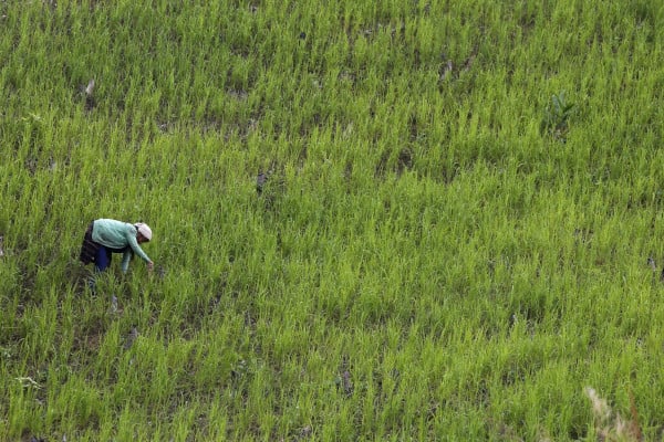 Por qué es importante mantener los derechos territoriales indígenas en Myanmar