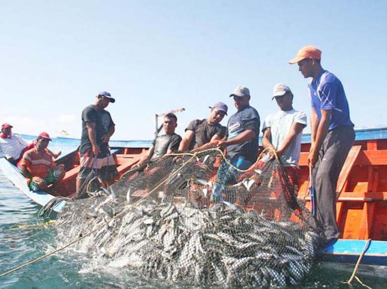 Gobierno impulsa pesca comunal