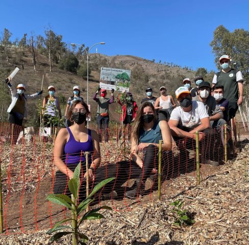 Proyecto desarrolla bosques comestibles en espacios públicos para combatir el cambio climático