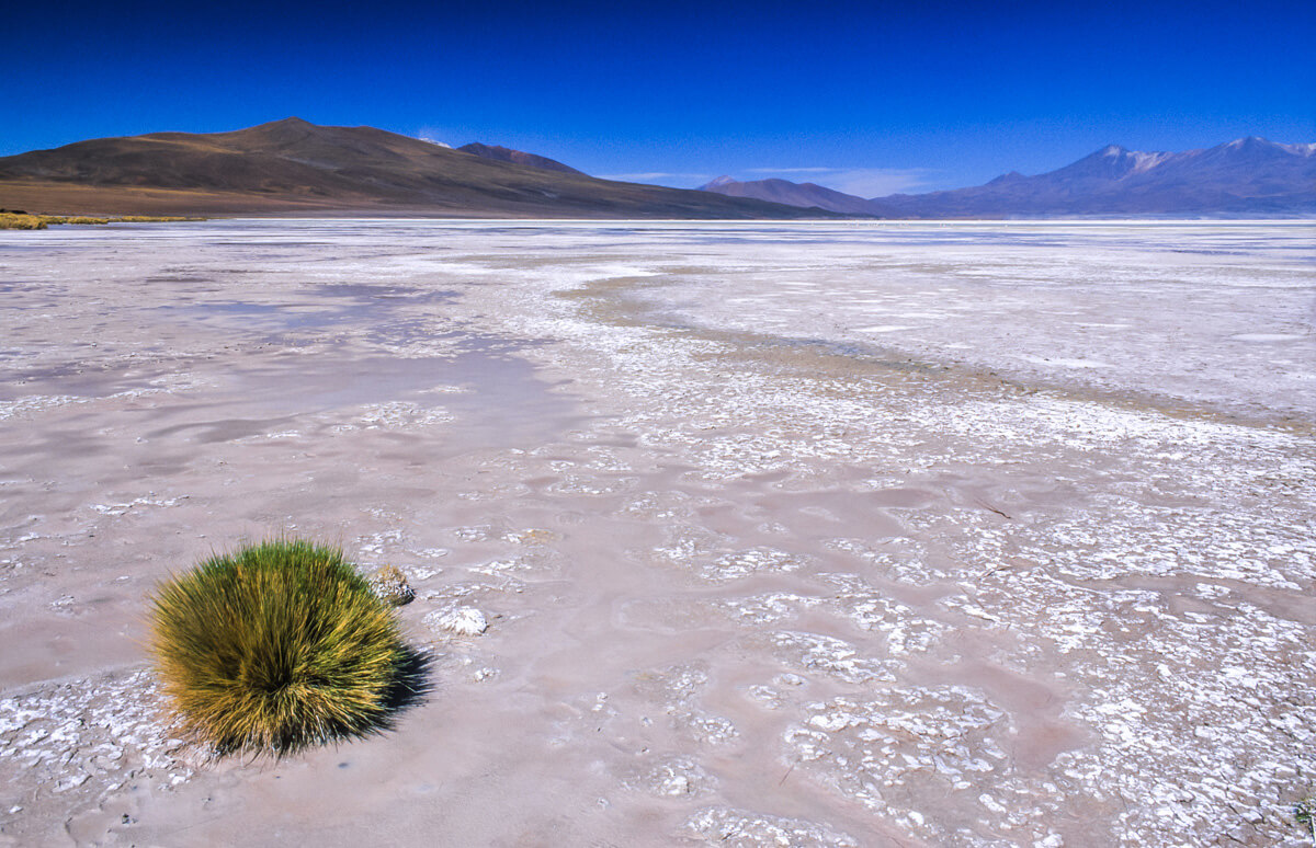 Corte de Antofagasta ordena a minera detener explotación del ancestral Salar de Ascotán en Ollagüe