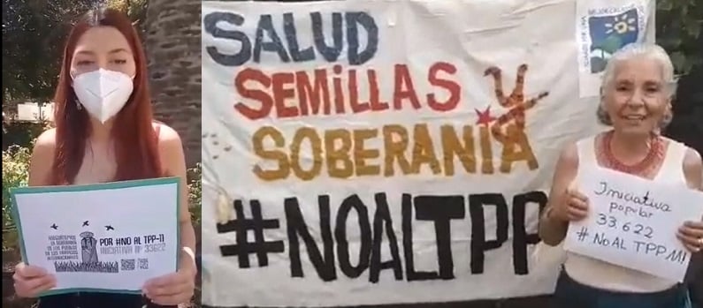 Defender la soberanía de los pueblos: El llamado a apoyar iniciativa popular constituyente #NOALTPP11 y TLC