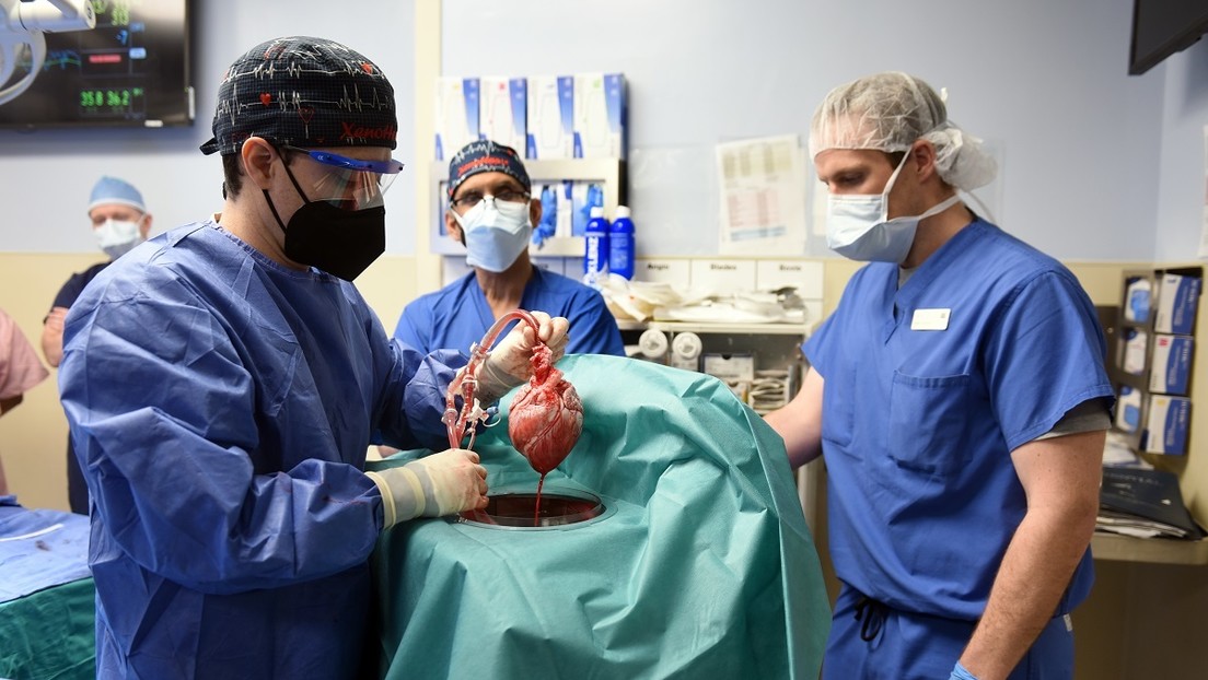 Implantan por primera vez en el mundo un corazón de cerdo a un humano