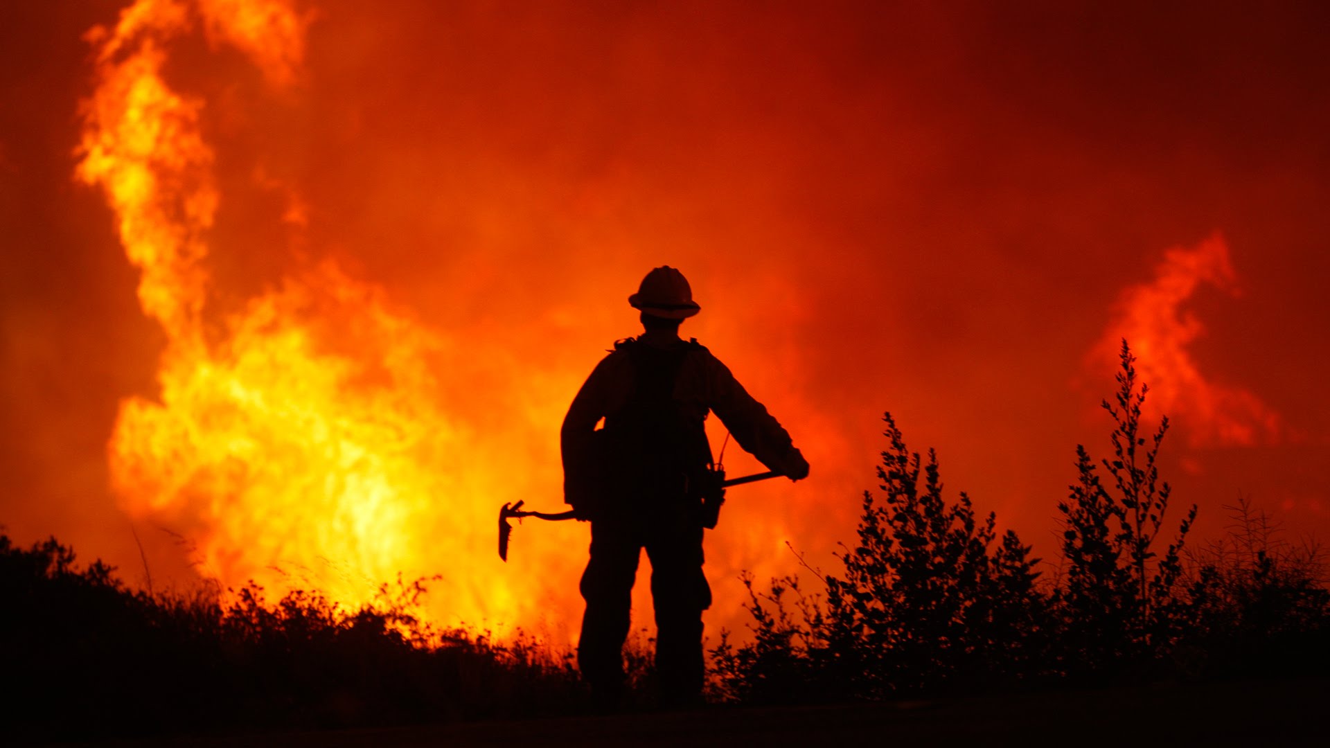 Expertos advierten complejo panorama estival: Calor extremo y abundante vegetación elevan riesgo de megaincendios