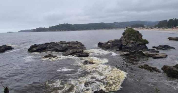 Alerta en borde costero de Lota y Arauco por derrame de residuos tóxicos
