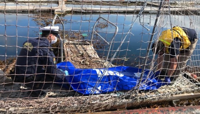 La muerte de 14 trabajadores y buzos de la industria del salmón durante el 2021 en la Patagonia