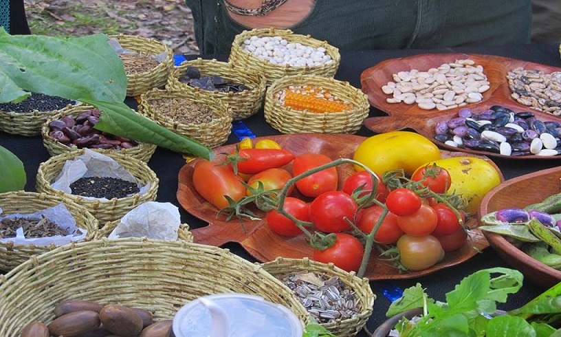 Agricultura familiar: Hacia una política de circuitos cortos de comercialización para la Araucanía