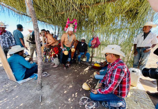 Universidad del Pueblo Yaqui en Sonora incorpora tres licenciaturas y una ingeniería