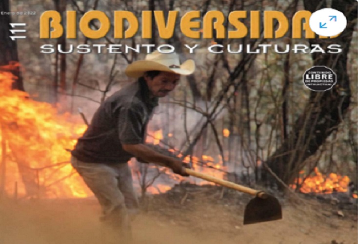 Revista Biodiversidad comparte un nuevo número para descargar o ver online