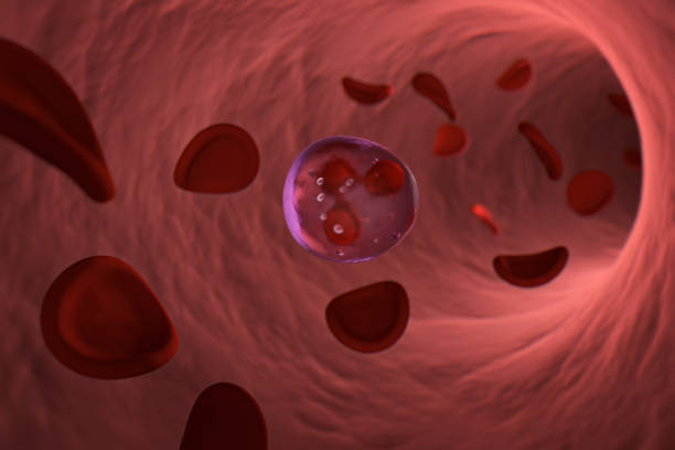 Científicos concluyen que células receptoras de antígenos quiméricos pueden «curar» la leucemia