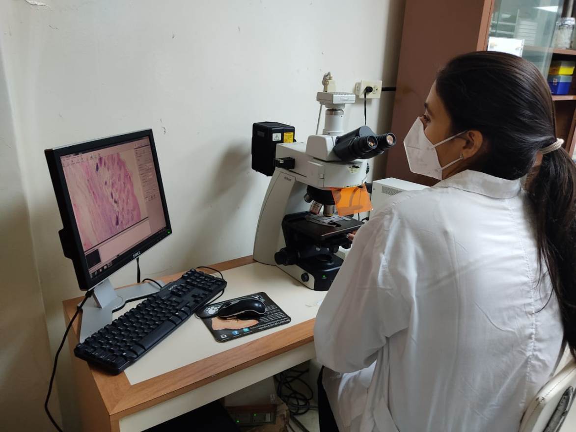 Con sello venezolano: Científicos crean anticuerpos para detectar el cáncer de mama