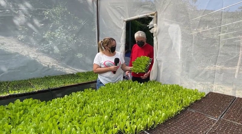 Más de 15 mil productores en La Guaira apuestan por el desarrollo del país