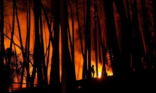 La ONU advierte de la amenaza de los incendios forestales y de la contaminación acústica