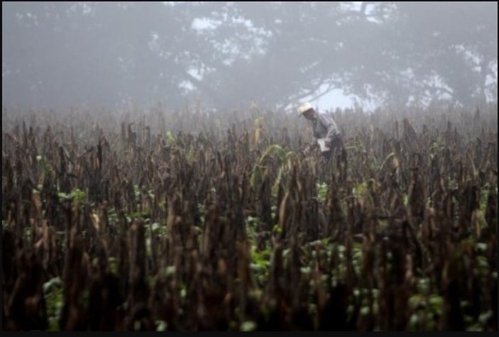 Científicos preparan anuncio de nuevas evidencias sobre la crisis global climática