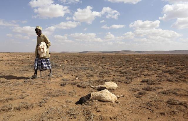 Sequía amenaza con dejar a 13 millones de personas en riesgo de sufrir hambre severa
