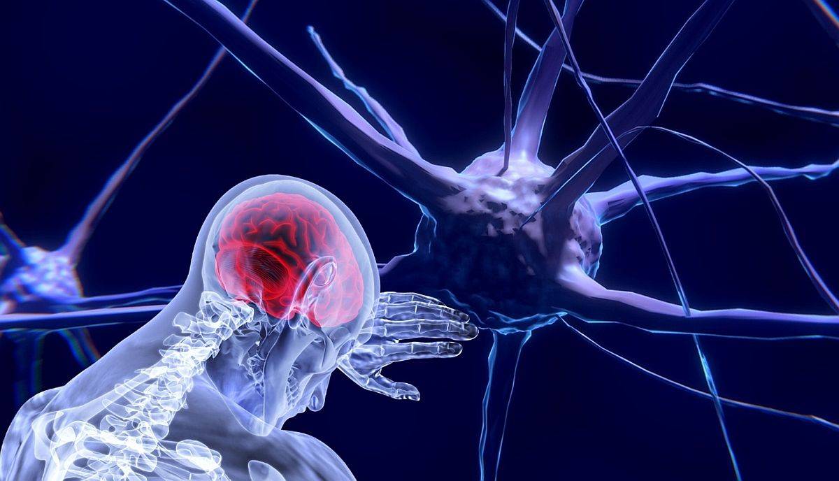 Detectan claves de la progresión del tumor cerebral más común y agresivo en adultos